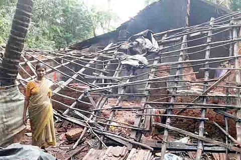 11ankola1b