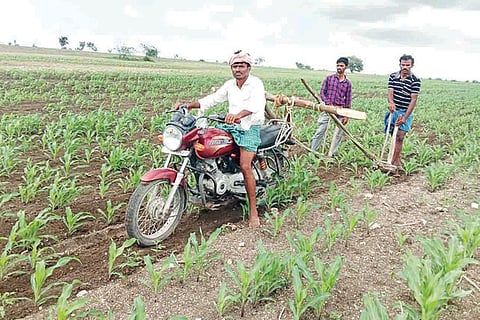 120820 Komalapura Farming in Baike