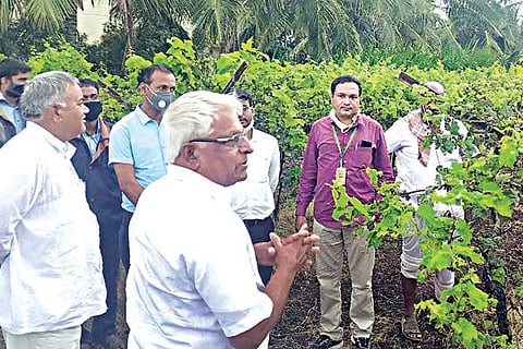 14KOKATANUR1-Web