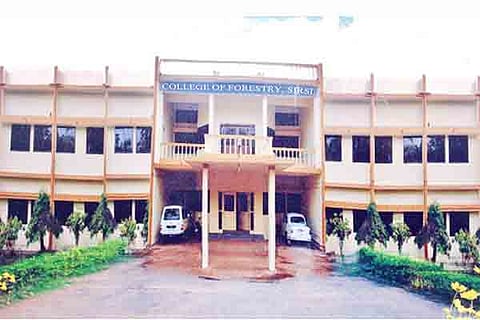 14sirsi6
