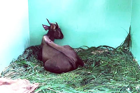 20ank news and photos 01