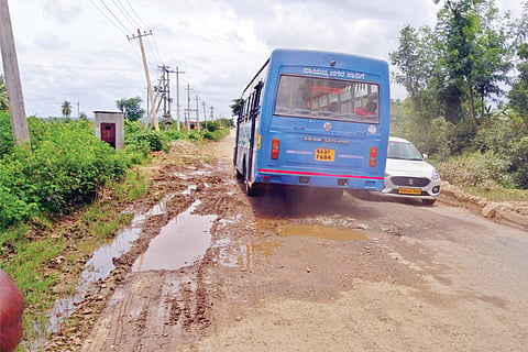 24-RNR-01 new