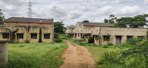 28 MDG 02 Photo