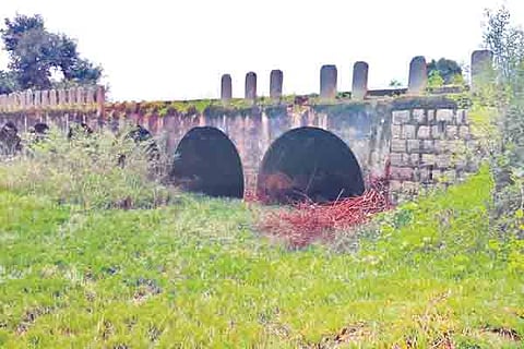2sirsi1