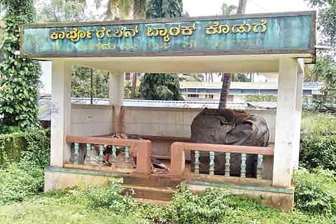 30sirsi2