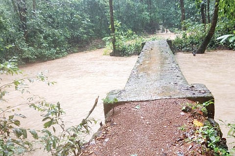 31sirsi1
