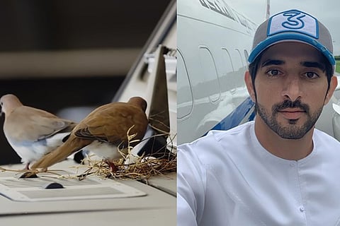 Dubai Prince