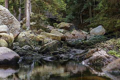 Feature Photo