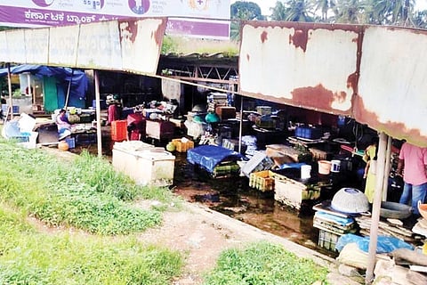 Fish market