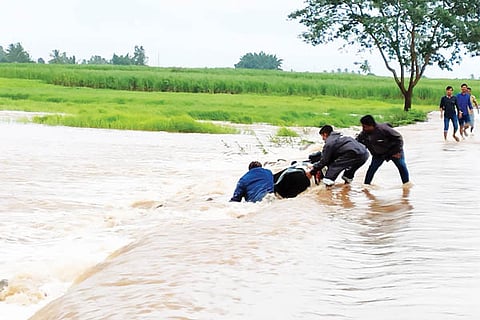 Flood