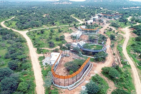 Hampi Zoo Atal bihari Vajapai park Yiger Lion Safari