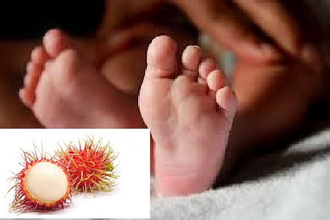 Rambutan stuck in child's windpipe removed
