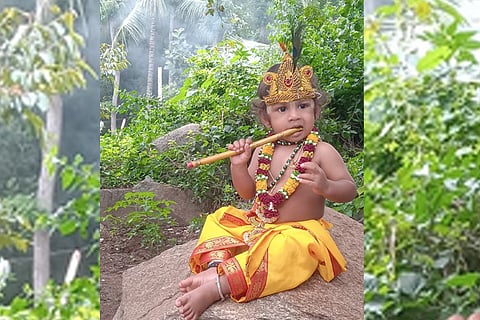 Sanmanya