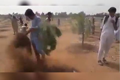 Tree uprooting