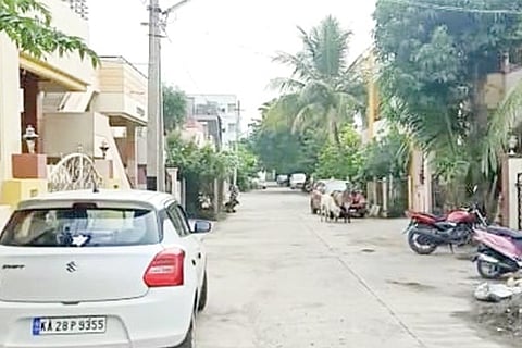 VJP 1-1
