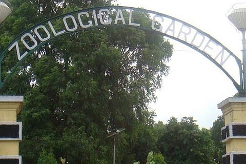 Zoo