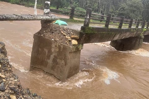 bridge new