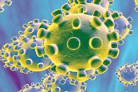 coronavirus-