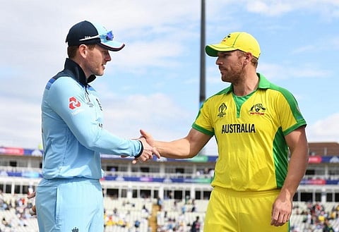 cricket