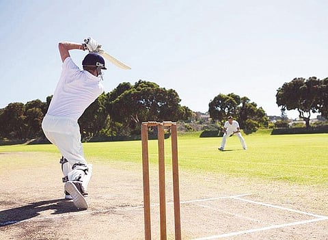cricket