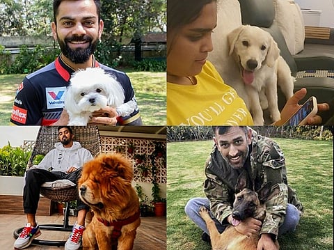 cricketers with dog for web