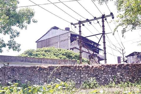 dnd dsfa photo 1