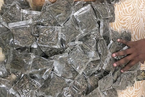 drug peddlers