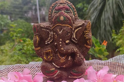 eco ganapa new