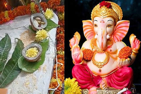 ganesha pavada 1