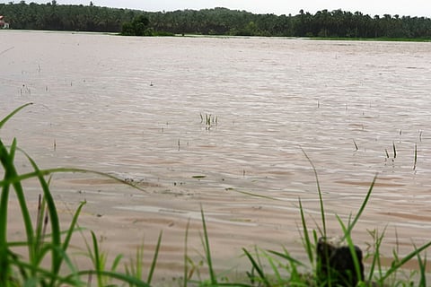 gangolli