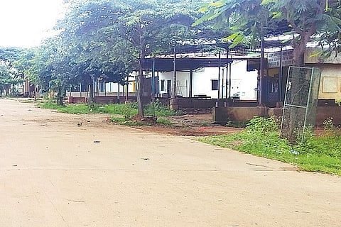 h10- Vegg Market