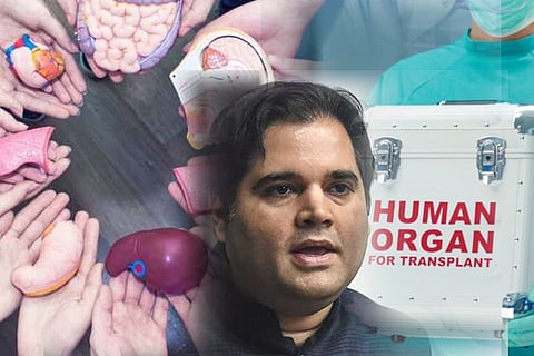 human organ