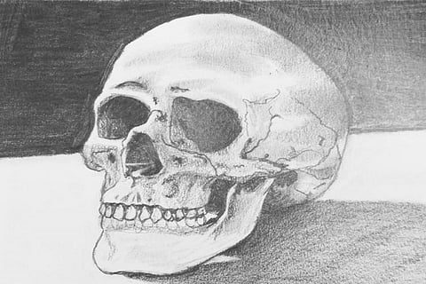 human skull