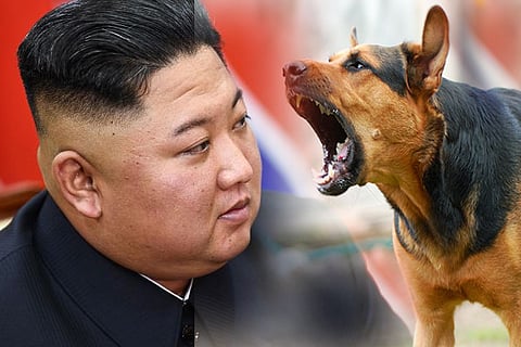 kim