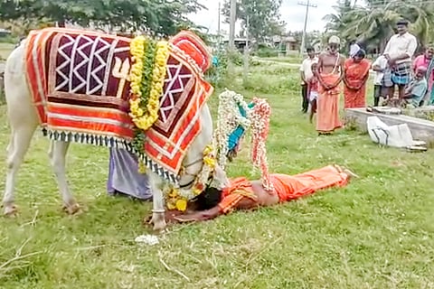 manyda basappa