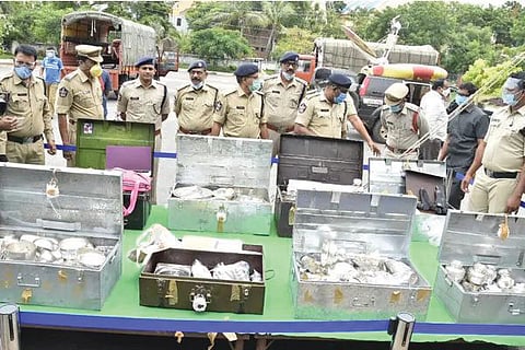 police raid