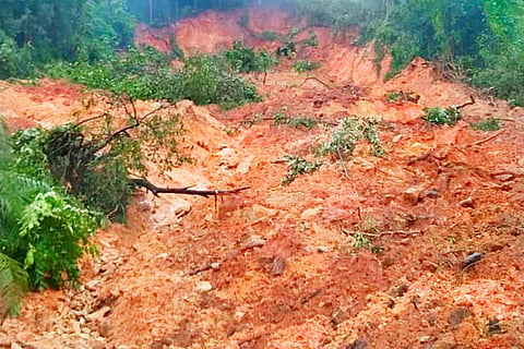 rain damage new