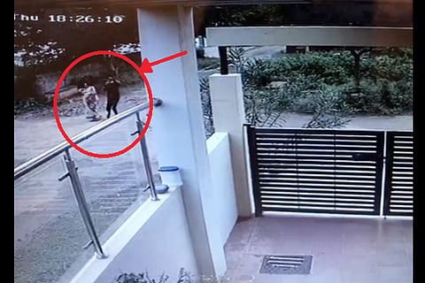 theft of gold chain
