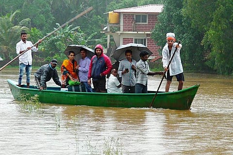udp rain