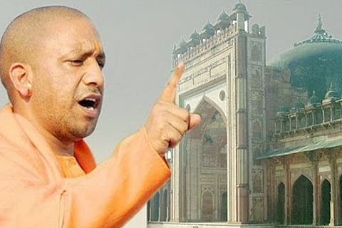 yogi