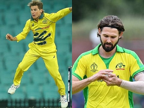 zampa for web