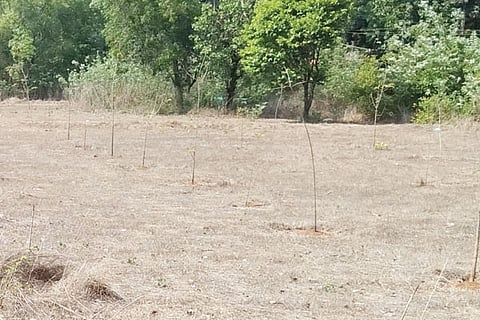 10sirsi1