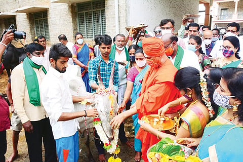 17Tmk_Modi_BJP