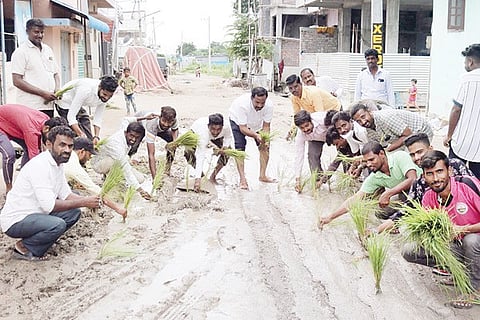 220920 Sindhanuru On Road paddy Seeds Seeding