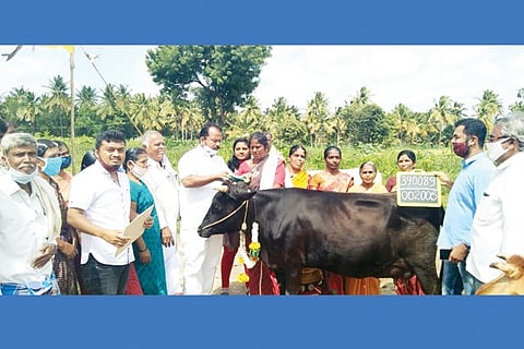 23 MADHUGIURI 1