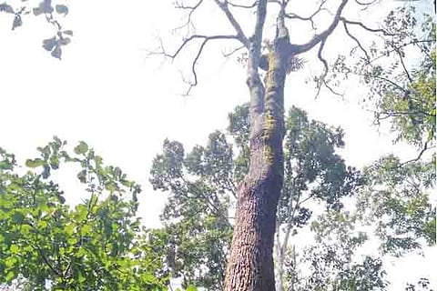 23sirsi3