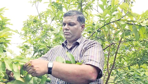 25KLB SRINIVAS (1)