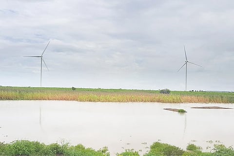 27092020 Lingasugur Rain-crop loss