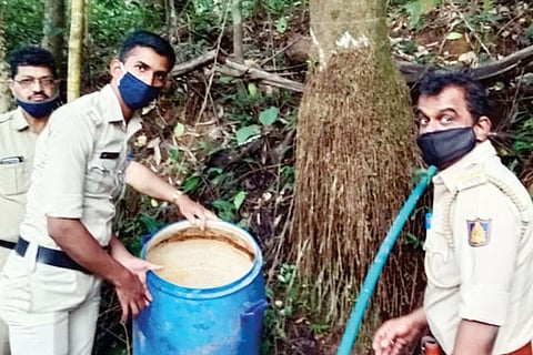 30sdp2