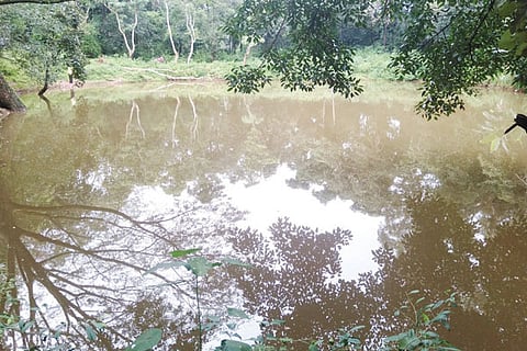 9sirsi1b